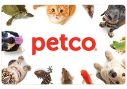 Choose A Gift Card Design Petco Standard Plastic